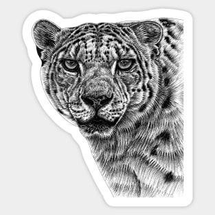 Snow leopard big cat Sticker